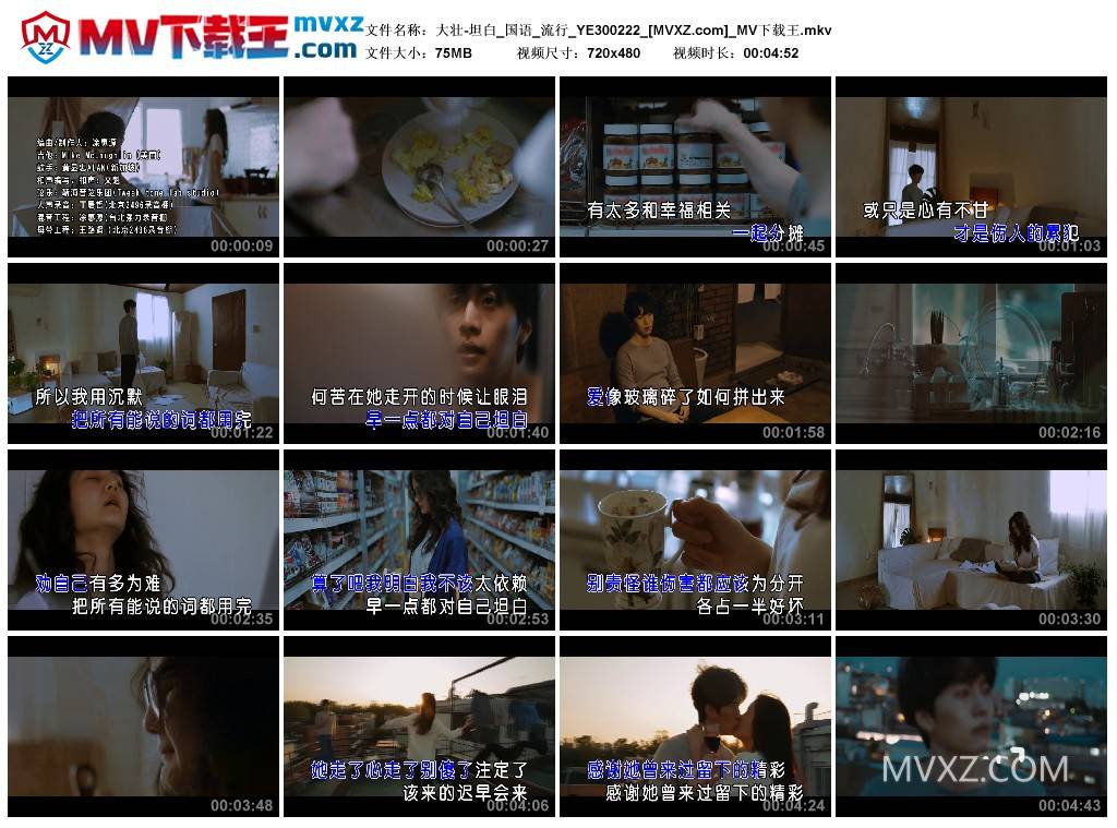 大壮-坦白_国语_流行_YE300222